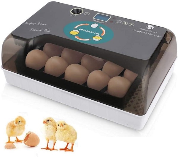 6- Sailnovo Couveuse Incubateur Automatique 12 œufs : La moins