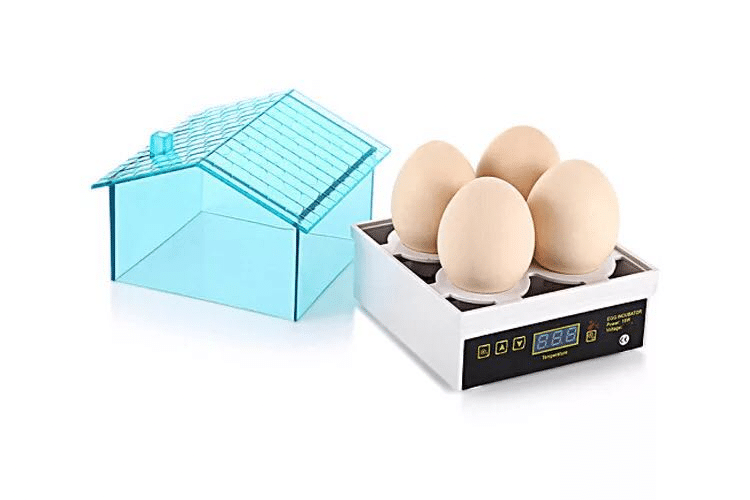 mini incubateur maison 4 œufs