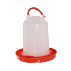 abreuvoir poule